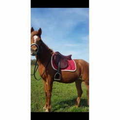 selle horse impact 17pouces*Horse'in Discount