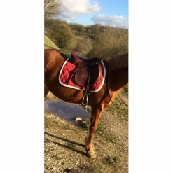 selle horse impact 17pouces*Horse'in Discount