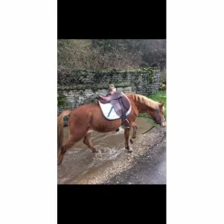 selle horse impact 17pouces*Horse'in Discount