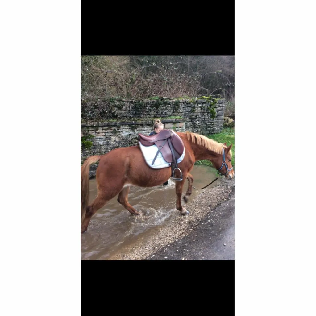 selle horse impact 17pouces*Horse'in Discount