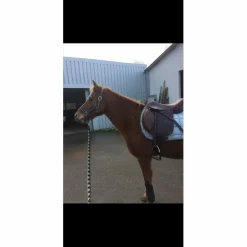 selle horse impact 17pouces*Horse'in Discount