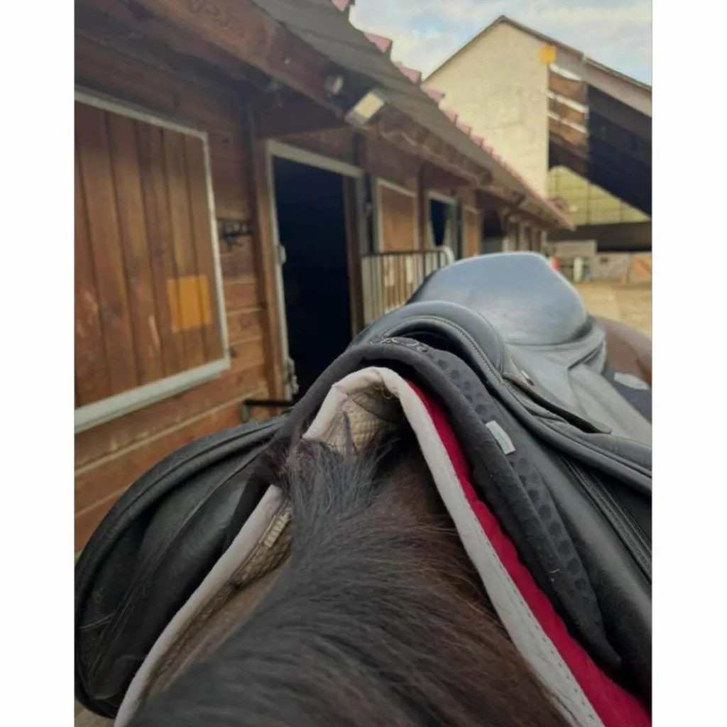 Selle Noir Excellent État*Ikonic