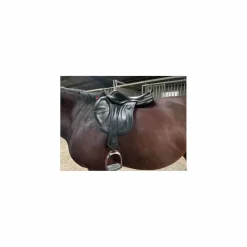 CWD Selles D'Obstacle><noscript><img width=