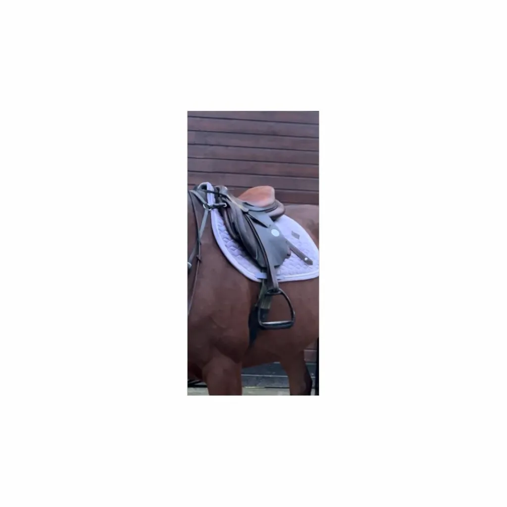 Selle 17,5*Meyer