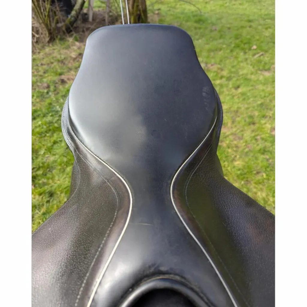 Selle mixte*Geologic Discount