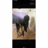 selle mixte avec sangle*Equip'Horse Sale