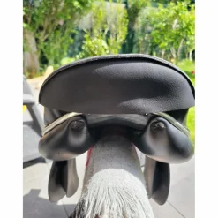 Selle mixte 2022*Butet Sale