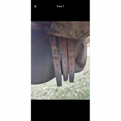 CWD Selles Mixtes><noscript><img width=