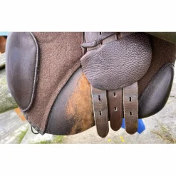 Tattini Selles Mixtes><noscript><img width=