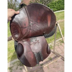 Colbert Brothers Selles Mixtes><noscript><img width=