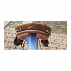 Stubben Selles Mixtes><noscript><img width=