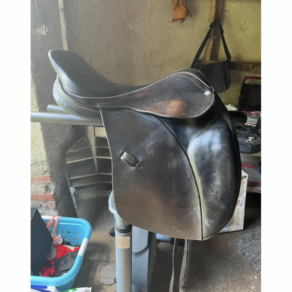 Geologic Selles Mixtes>Selle mixte tendance obstacle