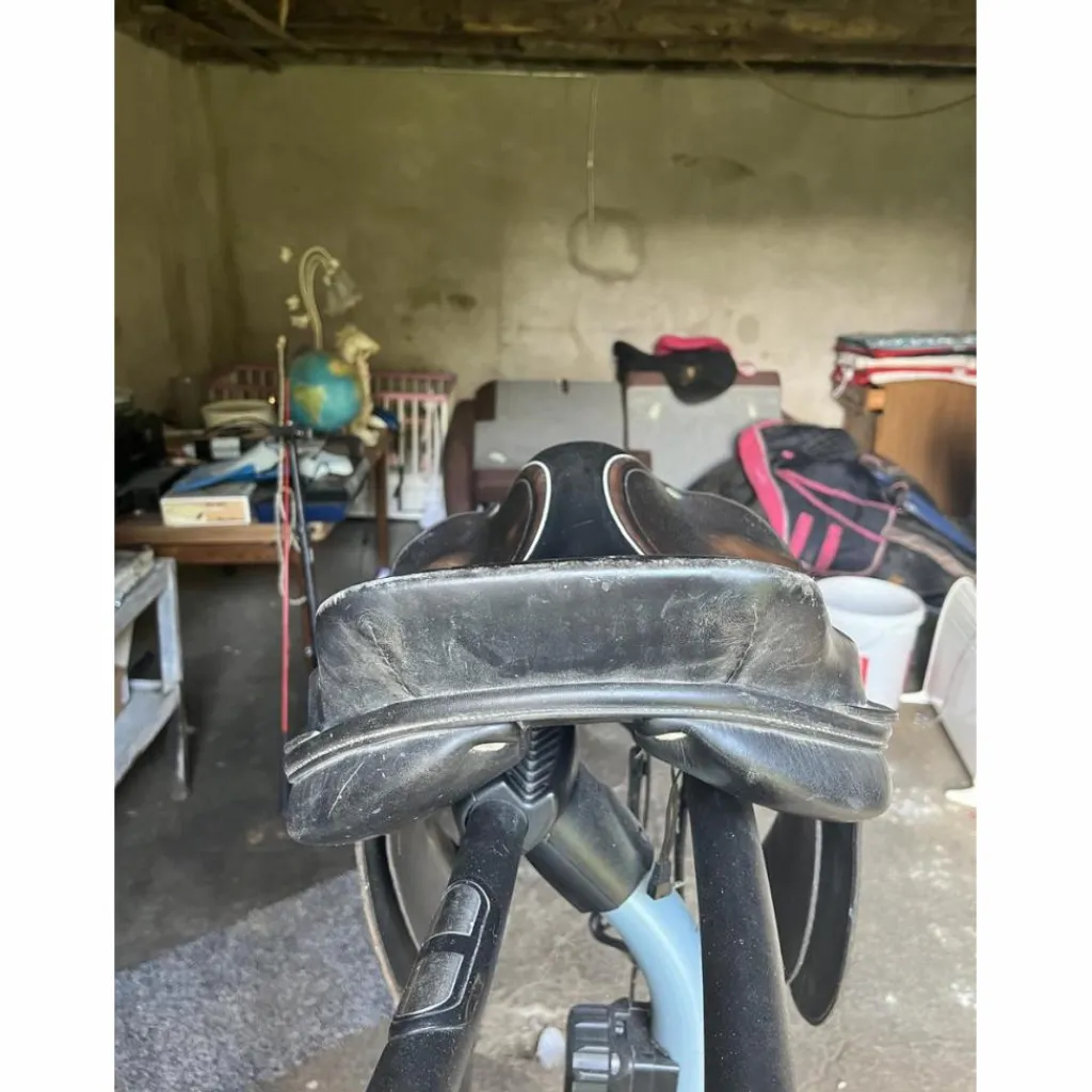 Geologic Selles Mixtes>Selle mixte tendance obstacle