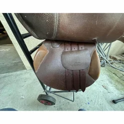 Terry's Selles Mixtes><noscript><img width=