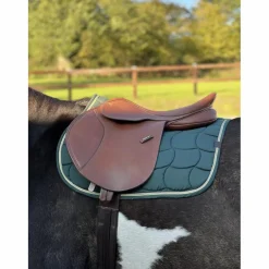 Wintec Selles Mixtes>Selle Mixte 500 Cair