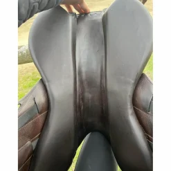 Forestier Selles D'Obstacle><noscript><img width=