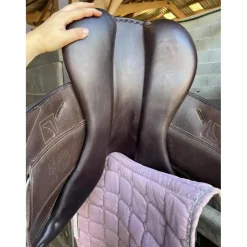 Childeric Selles De Cross><noscript><img width=