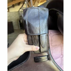 Childeric Selles De Cross><noscript><img width=