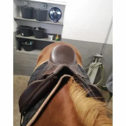 Eric Mondange Selles De Dressage><noscript><img width=