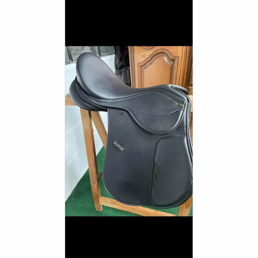 Selle*Norton