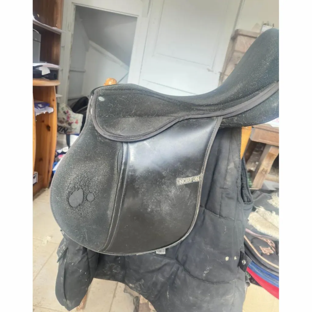 selle*Norton