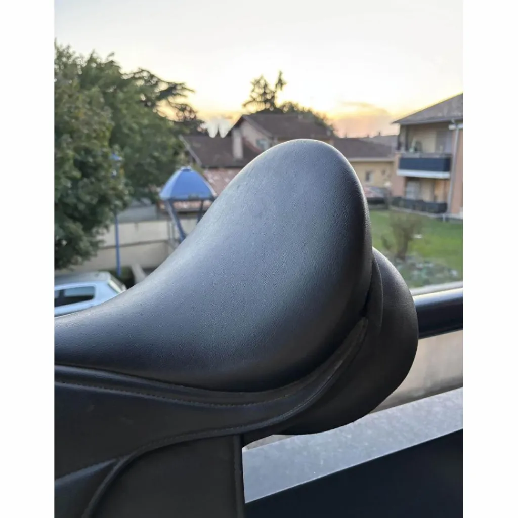 Selle Réxine*Norton Best