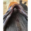 Delgrange Selles D'Obstacle>Selle obstacle bruno Delagrange