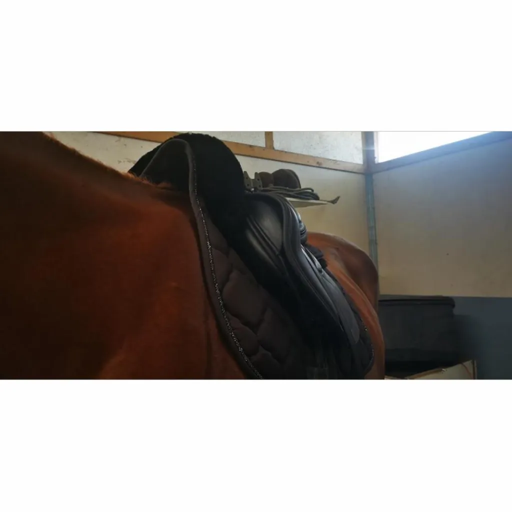 Erreplus Selles D'Obstacle>Selle obstacle