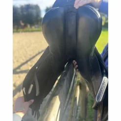 Pessoa Selles Mixtes><noscript><img width=