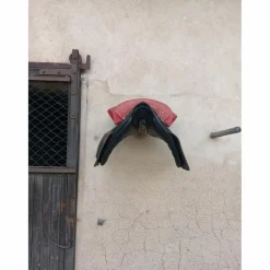 Selle Portugaise rouge et noir en bon etat*- Marque inconnue - Sale