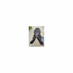 Prestige Selles Mixtes><noscript><img width=