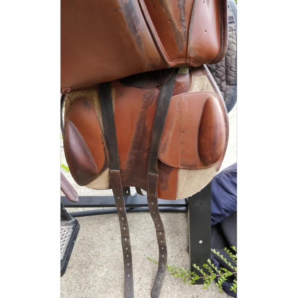 Prestige Selles De Cross>Selle Eventing