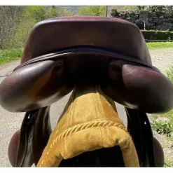 Selle Pro'Point*Jean-Luc Maurel Online