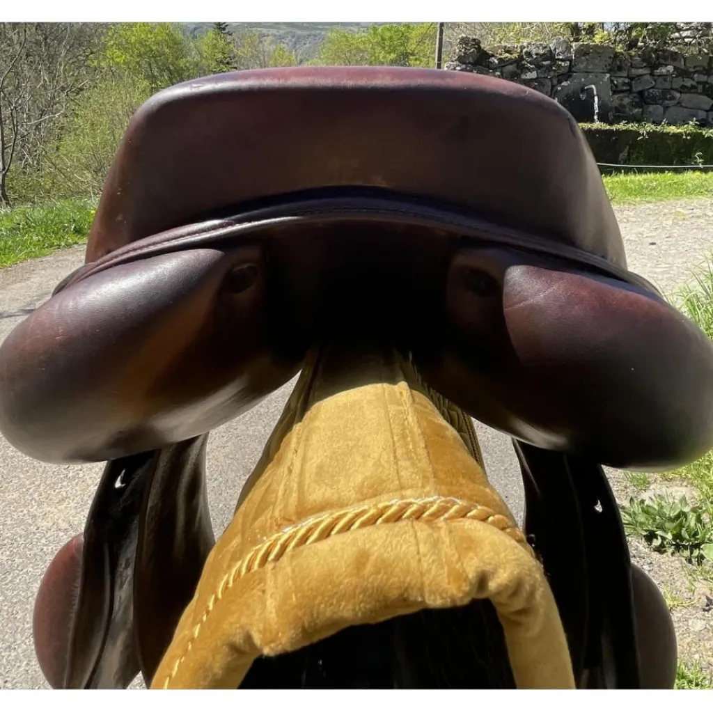 Selle Pro'Point*Jean-Luc Maurel Online