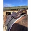 Selle équipe*Equipe Clearance