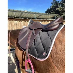Selle équipe*Equipe Clearance