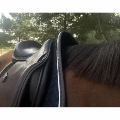 Equipe Selles D'Obstacle><noscript><img width=