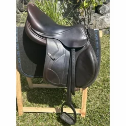 Selle Équipe carbone*Equipe Best