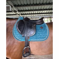 Selle Équipe carbone*Equipe Best