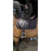 Equipe Selles Mixtes>Selle Équipe Expression monoquartier – 17,5” – Très bon état