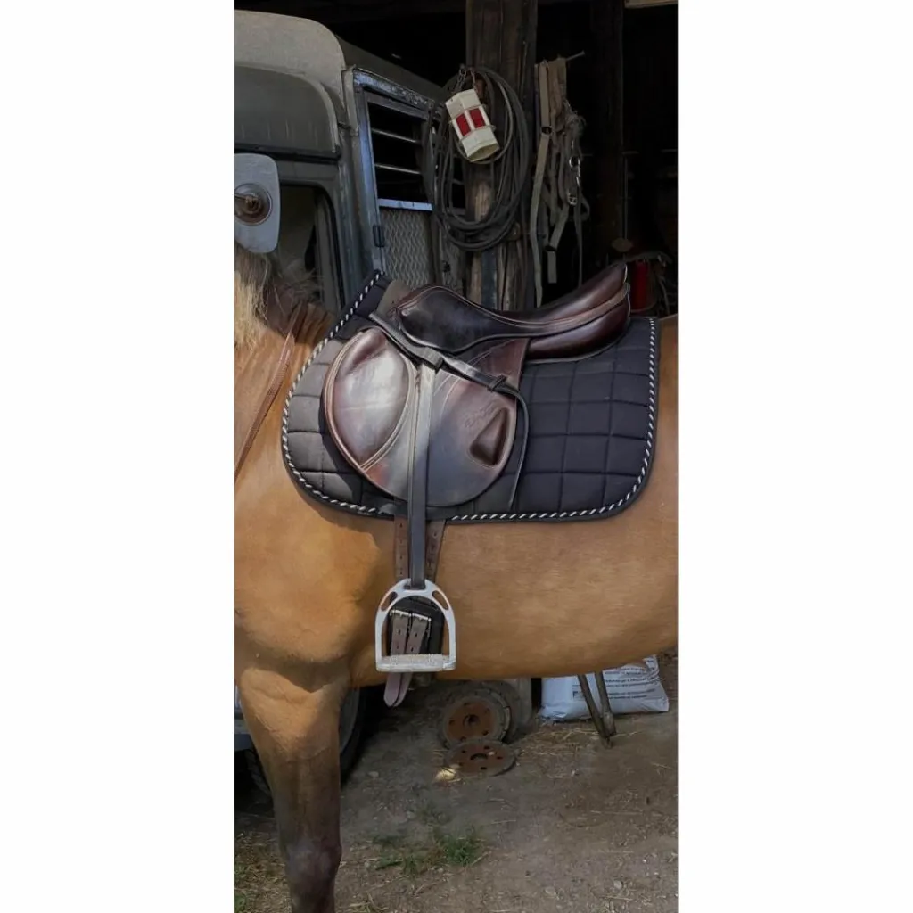 Equipe Selles Mixtes>Selle Équipe Expression monoquartier – 17,5” – Très bon état