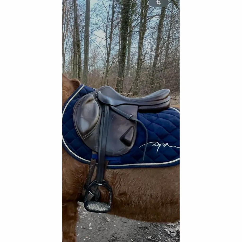 Equipe Selles Mixtes>Selle Équipe Expression monoquartier – 17,5” – Très bon état