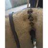 - Marque inconnue - Selles De Randonnée>Selle randonnée