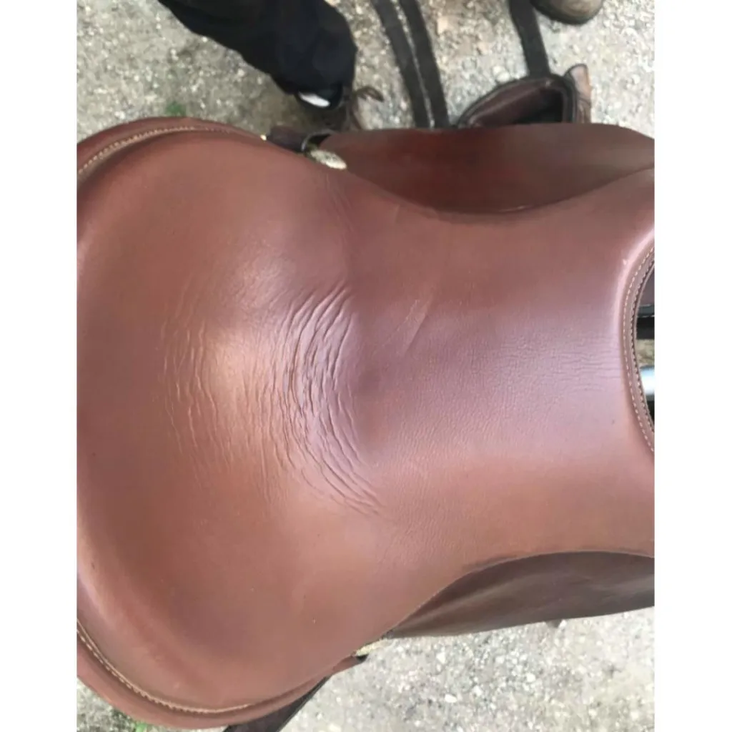 - Marque inconnue - Selles De Randonnée>Selle randonnée
