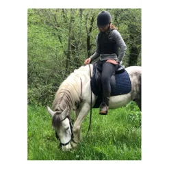 - Marque inconnue - Selles De Randonnée>Selle randonnée cheval