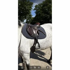 Rebelle Sellier Selles Mixtes>Selle rebelle R20