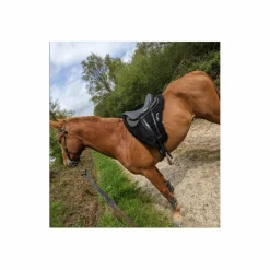 Selle SETZI BALENTE B 2022*- Marque inconnue - Hot