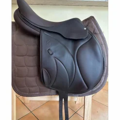 Vincent Gaffet Selles De Cross><noscript><img width=