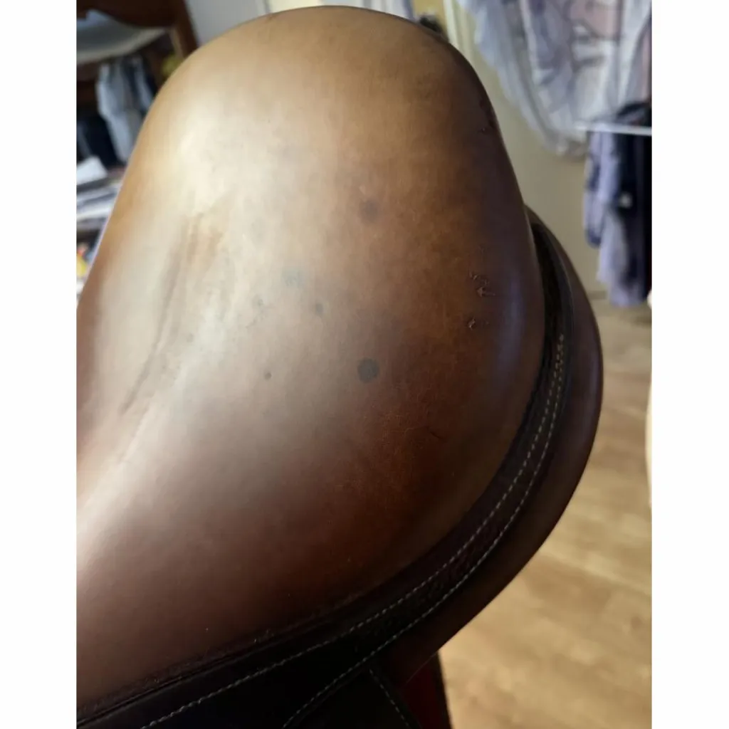 Selle Spooner tendance obstacle T18*Antares Sale