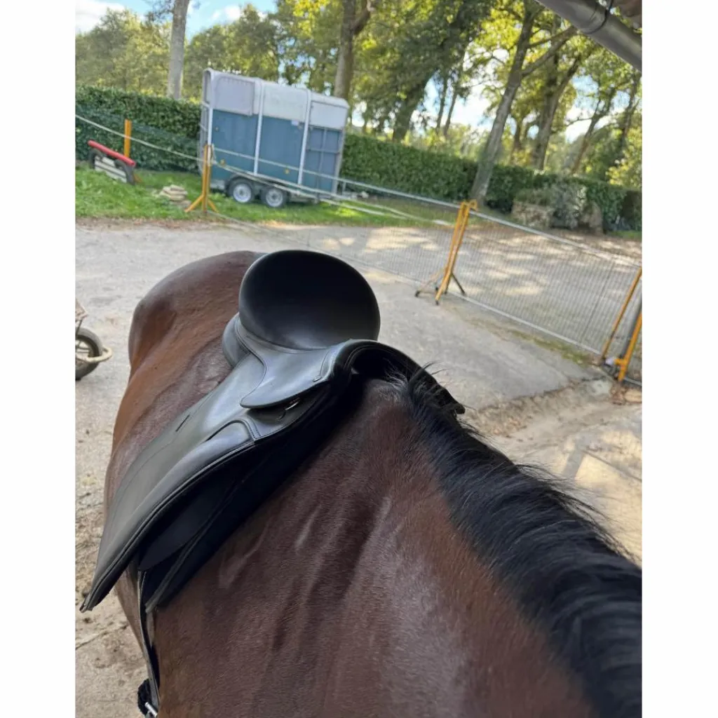 selle*Tekna Best